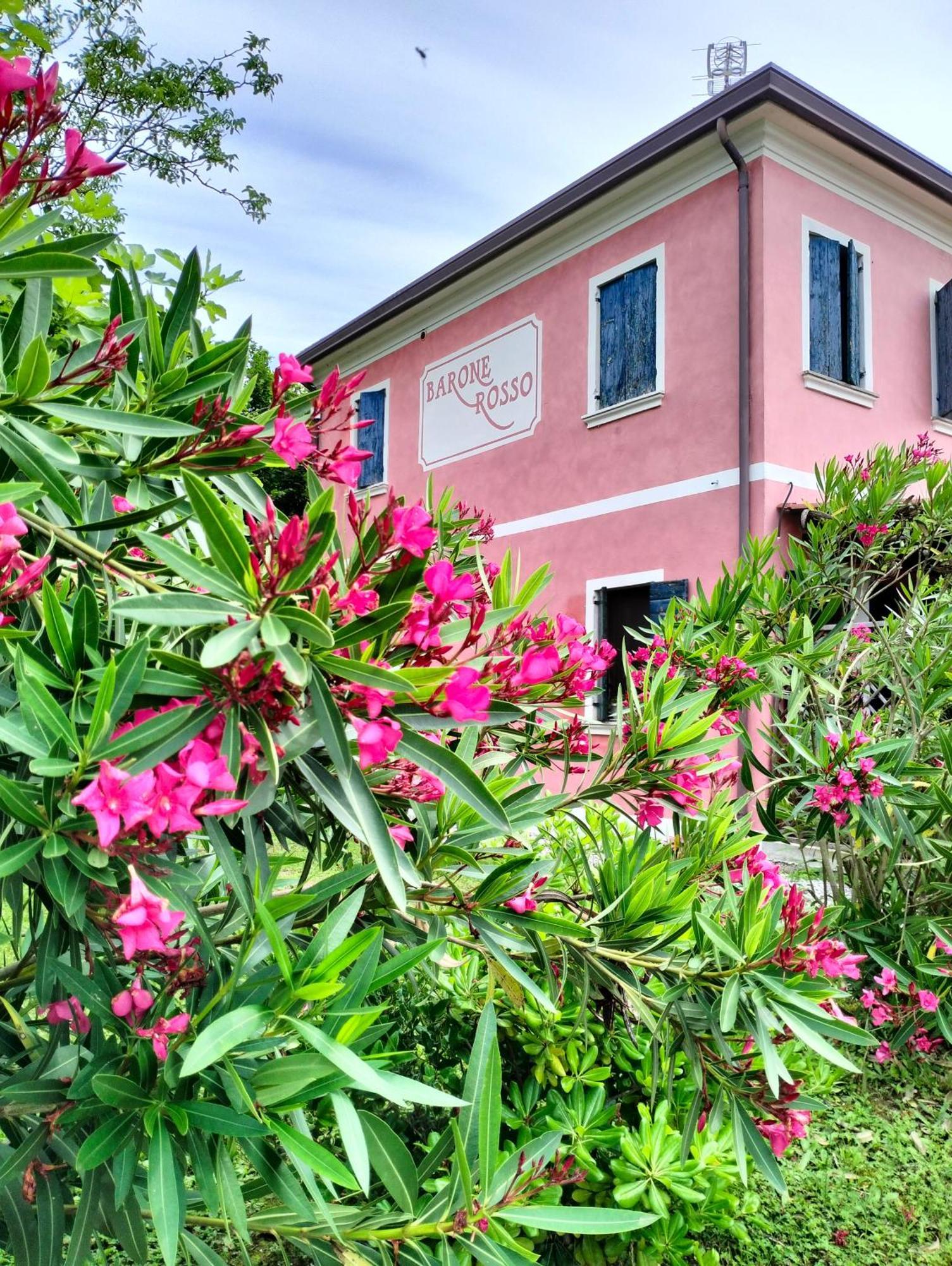 Barone Rosso Bed & Breakfast Treviso Exterior photo